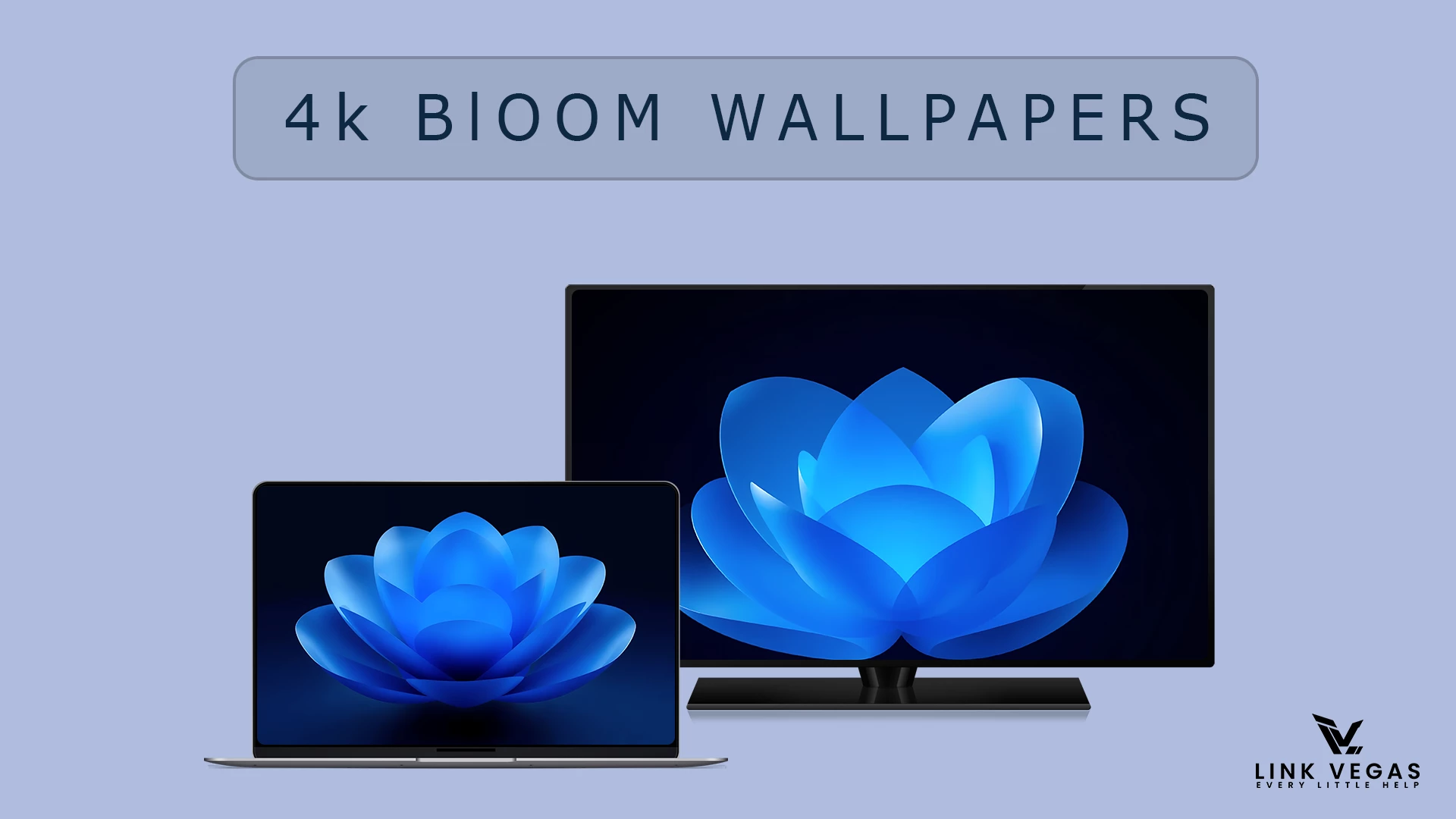 Windows 11 Bloom Wallpapers 4K 1 Windows 11 Bloom Wallpapers 4K