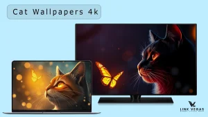 Cat Wallpaper Pack 4k