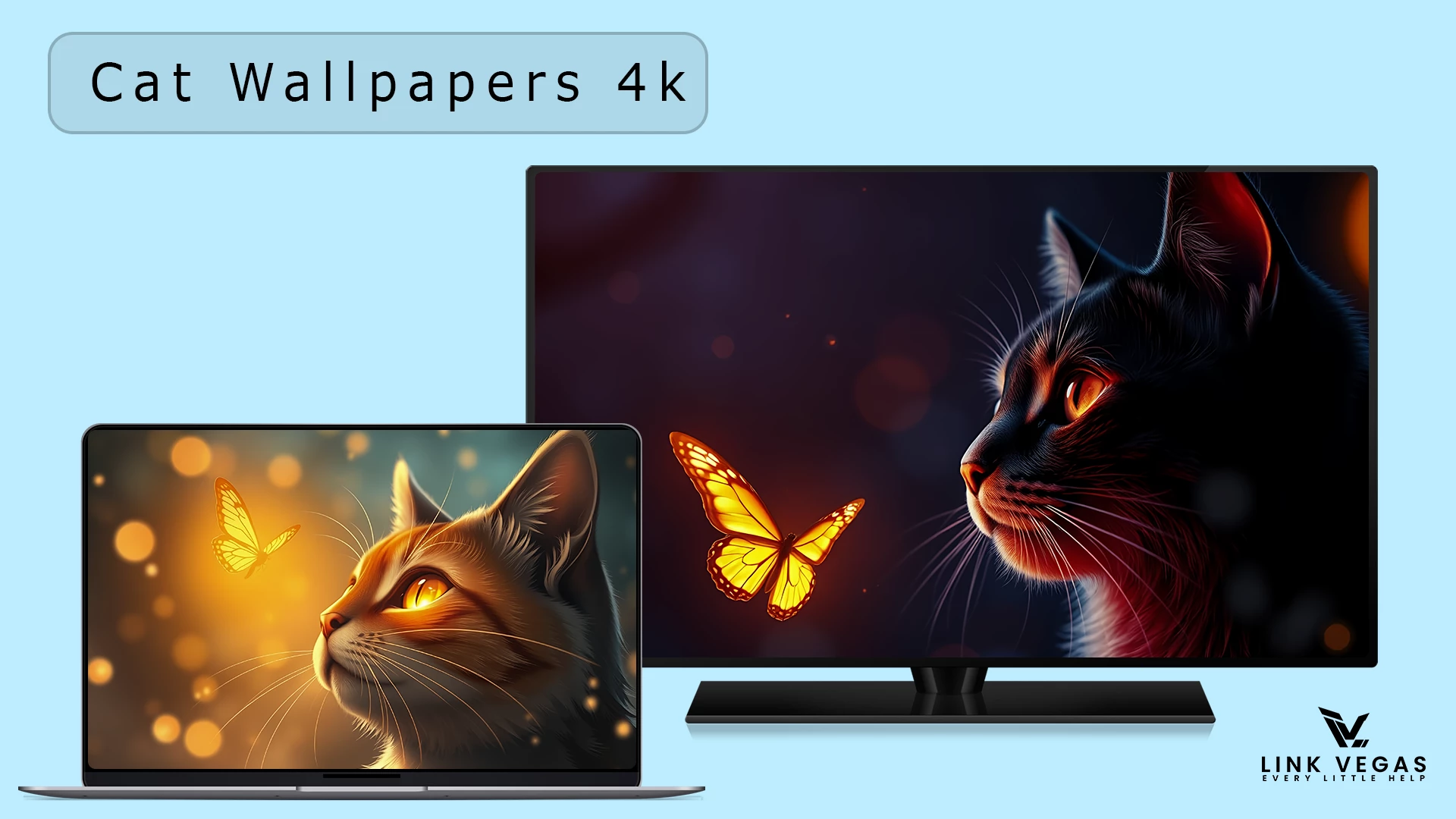 Cat Wallpaper Pack 4k 1 Cat Wallpaper Pack 4k