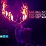 Flame Desktop - Rainmeter Suite