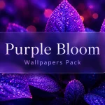 Purple Bloom Wallpaper Pack preview for Windows desktop