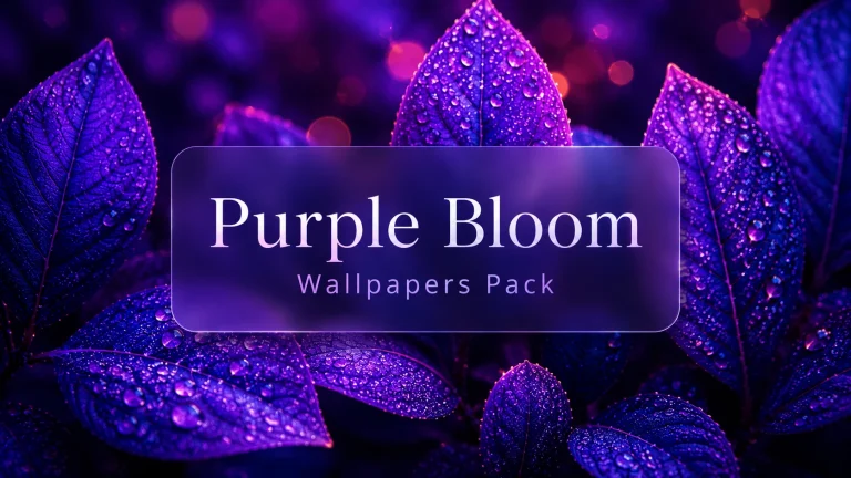 Purple Bloom Wallpaper Pack for Windows 4 Purple Bloom Wallpaper Pack preview for Windows desktop